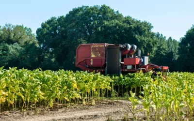 VERBANDSPRÄSIDENT PATRICK ENGELS (VDR) SIEHT MITTELSTÄNDISCHE TABAKPRODUZENTEN IN IHRER EXISTENZ BEDROHT